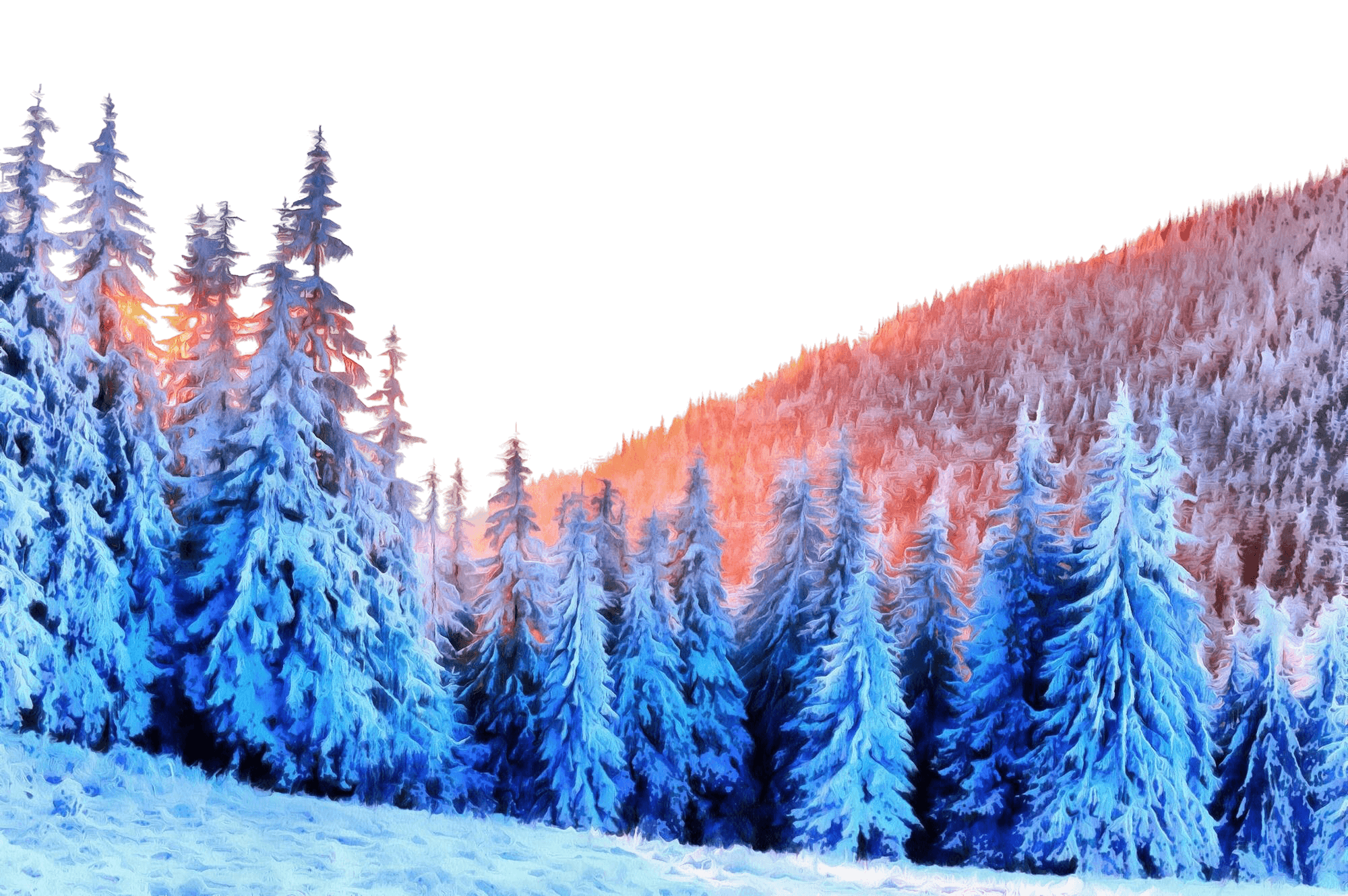 Understanding Forest and Woods Difference