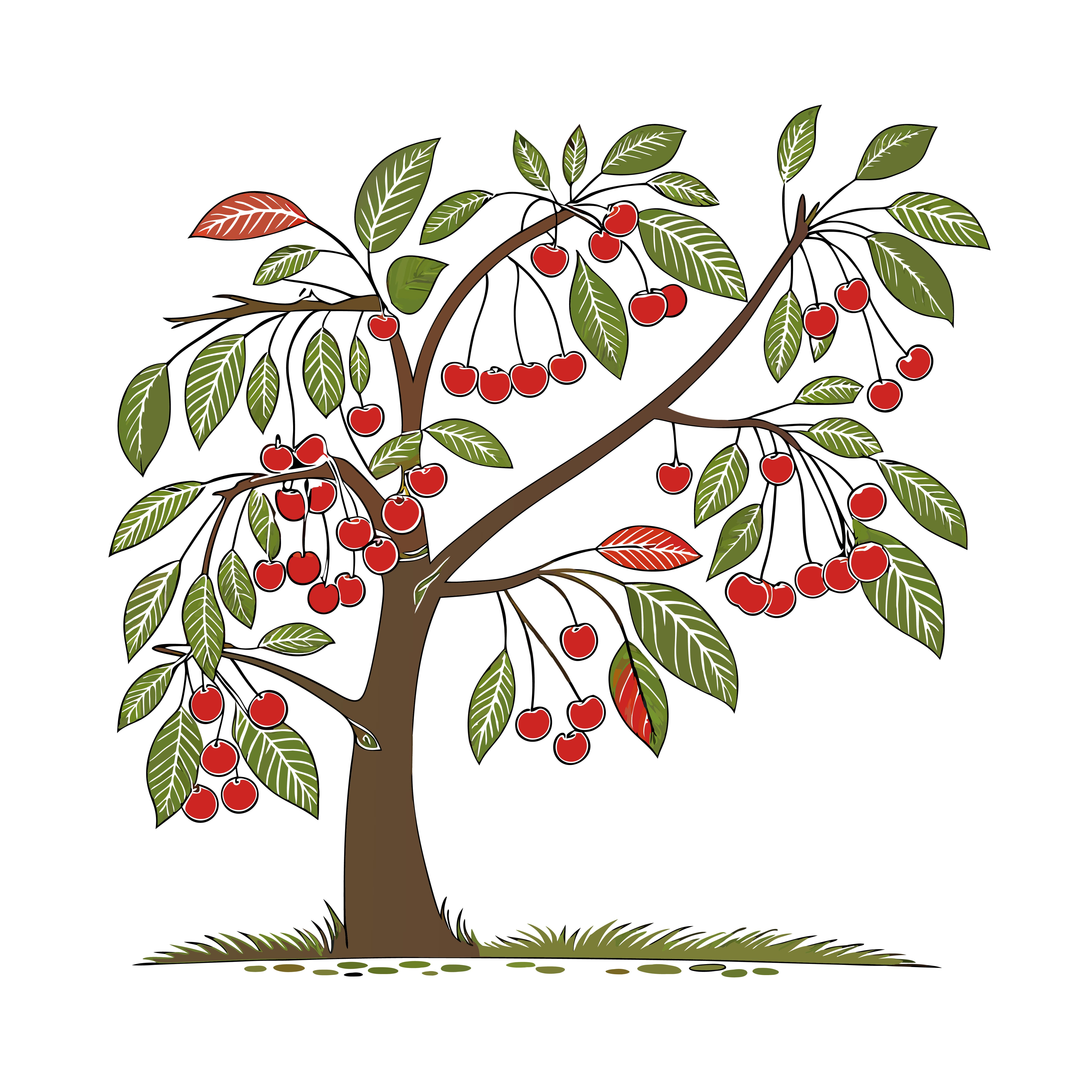 A mature crataegus hawthorn tree standing in a hedgerow landscape