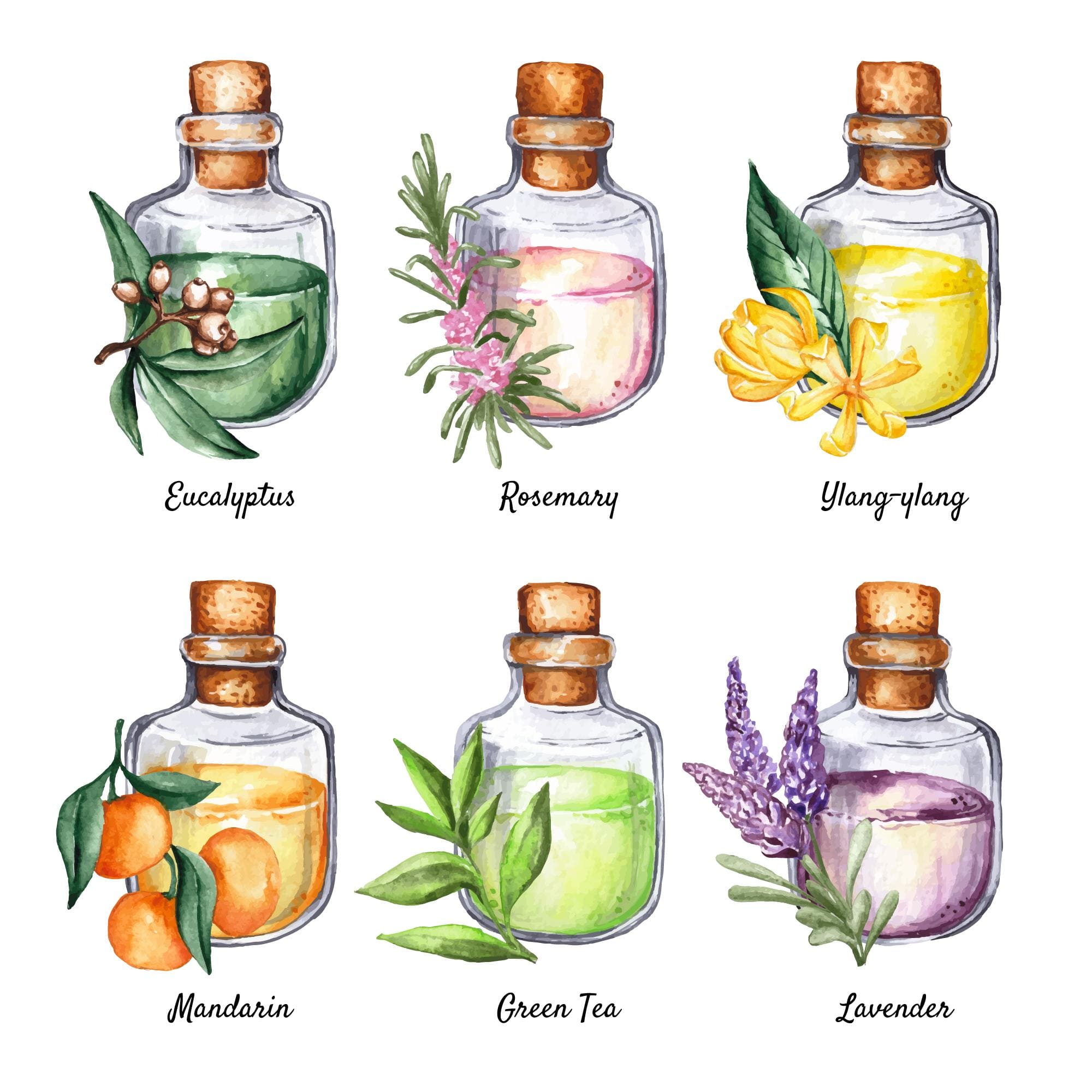 Close-up of lavender and eucalyptus essential oils known for repelling bed bugs