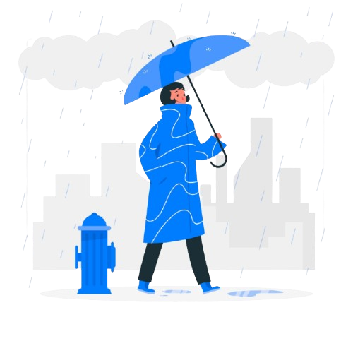 Precipitation map