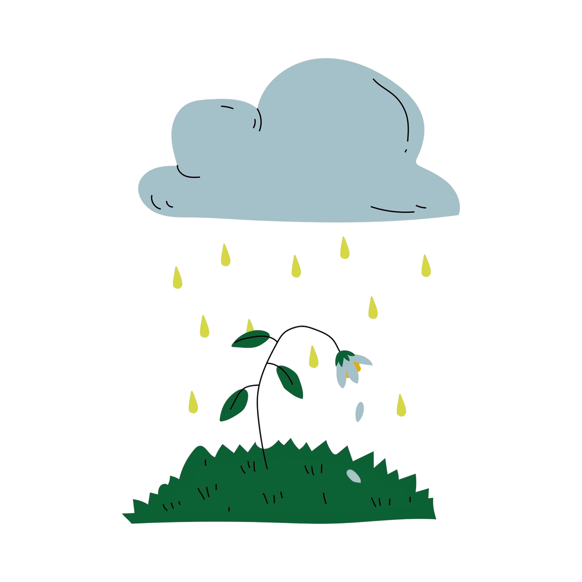 Precipitation monitoring